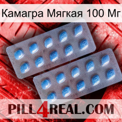 Камагра Мягкая 100 Мг viagra4